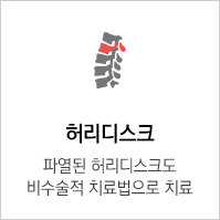 허리디스크
