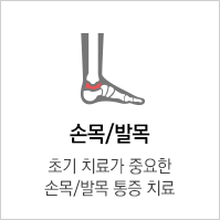 손목/발목